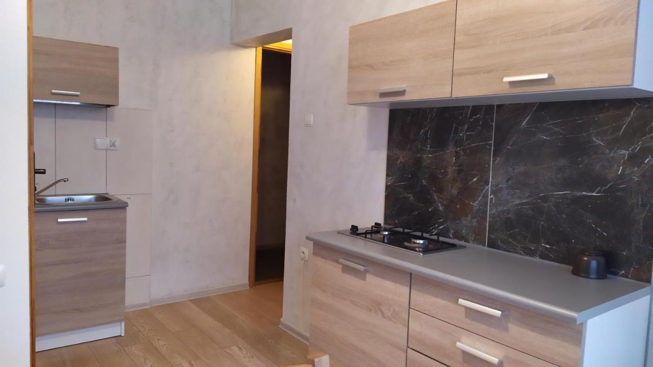 Apartamenty Z Widokiem Na Gory 布库维纳塔然斯卡 外观 照片