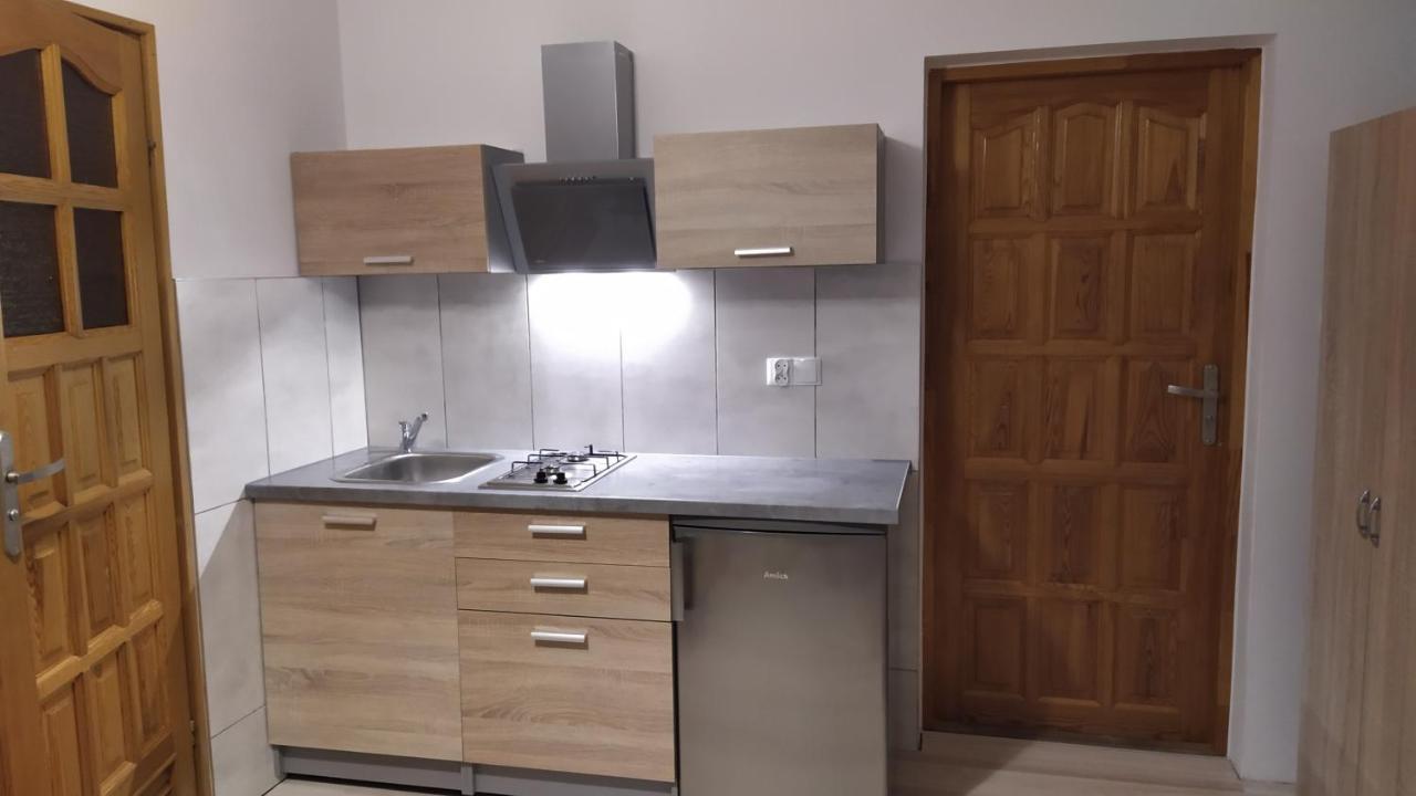 Apartamenty Z Widokiem Na Gory 布库维纳塔然斯卡 外观 照片